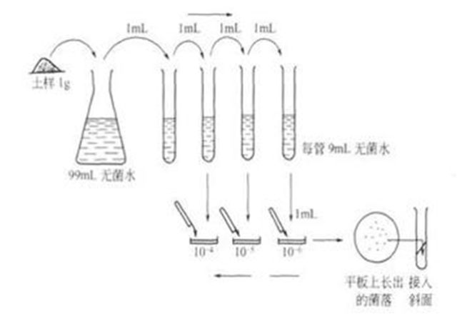 西安悟空檢測