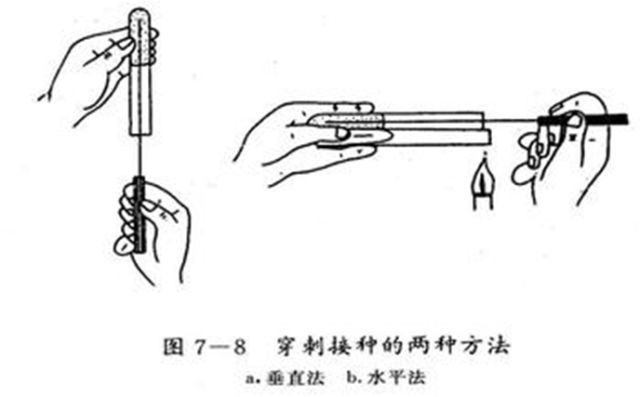 西安悟空檢測